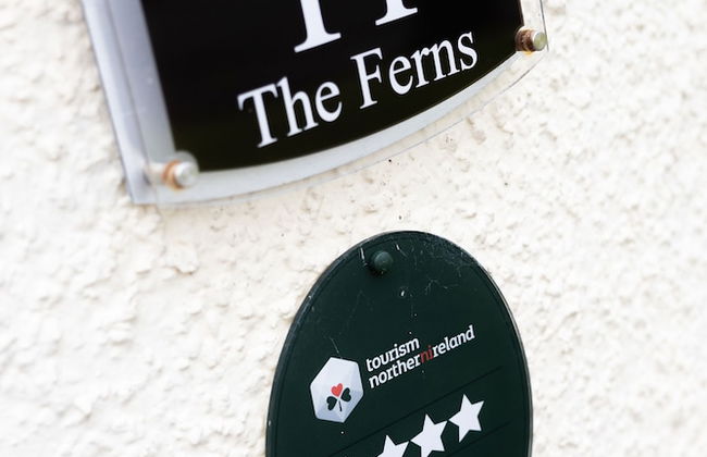 The Ferns - Photo 10