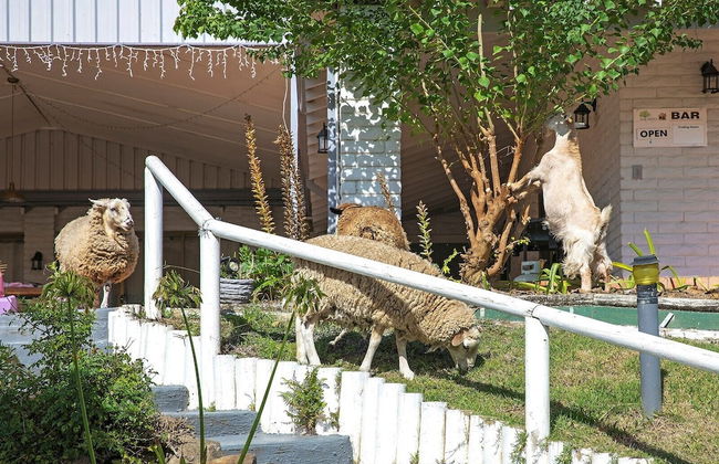 Altamira Along Bakers Creek - Foto 13