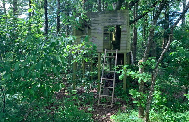 4 Star Holiday Home in Ansager - Foto 26