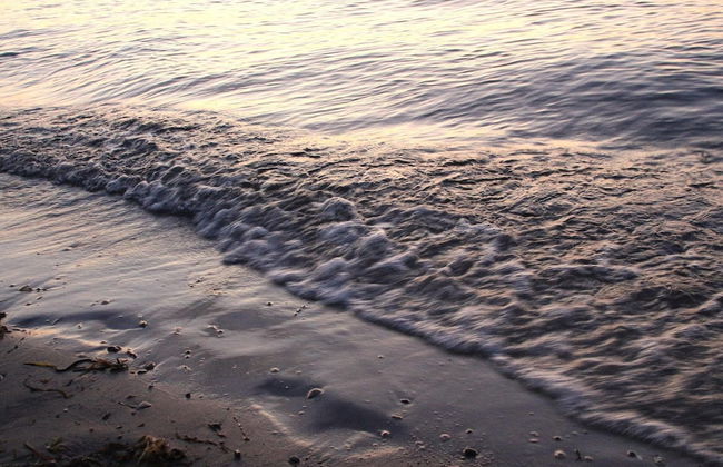 Holiday Home in Poel Near Sea Beach - Foto 33