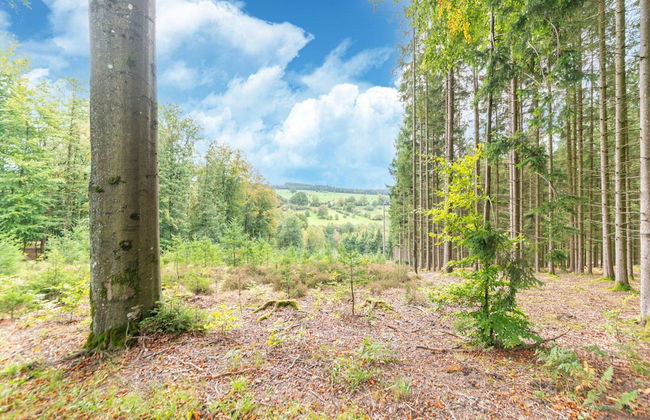 Magnificent Accommodation for 15 People - Foto 30