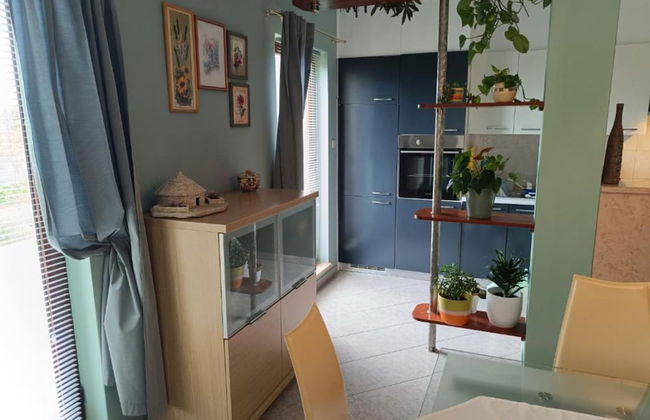 Villa Hilda - Foto 42