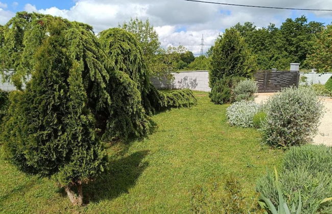 Villa Hilda - Foto 47