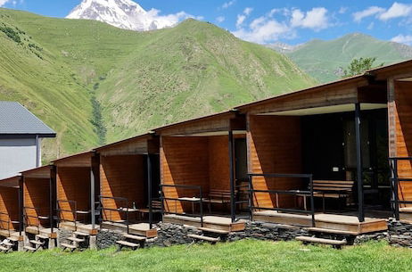 Foto 22 - Kazbegi Cottages