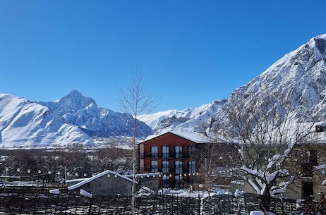 Foto 10 - Kazbegi Cottages