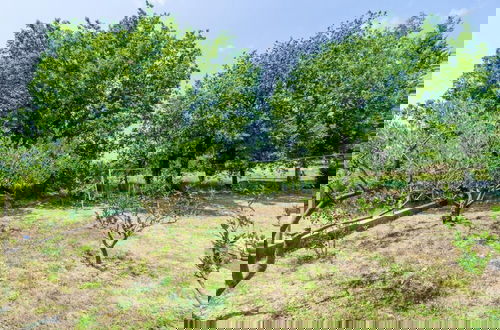 Photo 34 - Holiday Home Field of Olives
