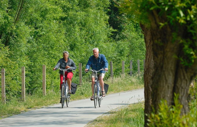 Veluwemeer Chalet Park Retreat - Foto 32