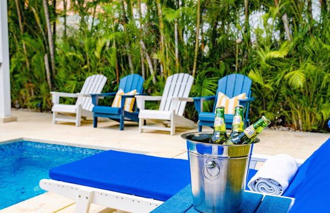 A Guest Dream Villa Blue at Punta Cana Village! - Foto 25
