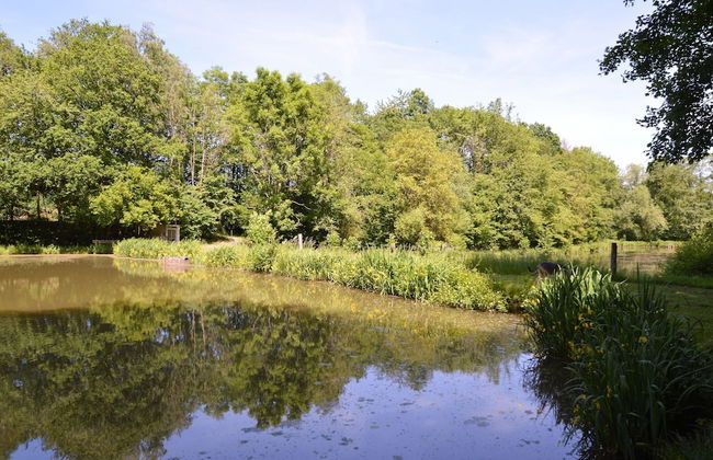 Nature Retreat by the Lakes - Foto 46