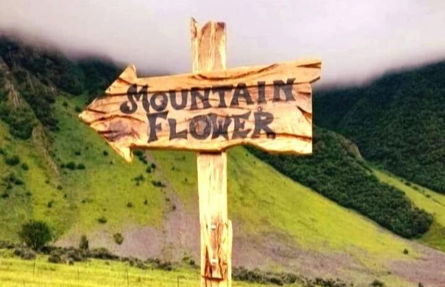 Mountain Flower cottage - Foto 5