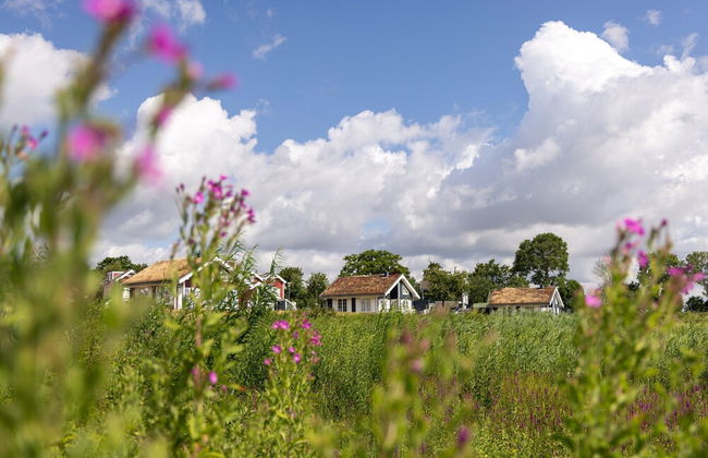 Bungalow by the Sea With Sauna in Germany - Foto 25
