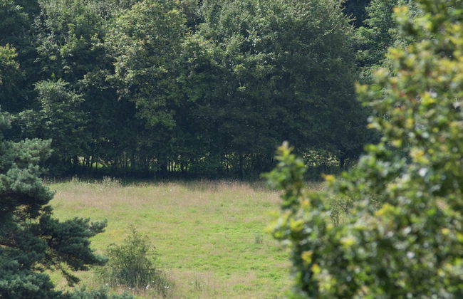 Wooden Holiday Home with Microwave near Brunssummerheide - Foto 30