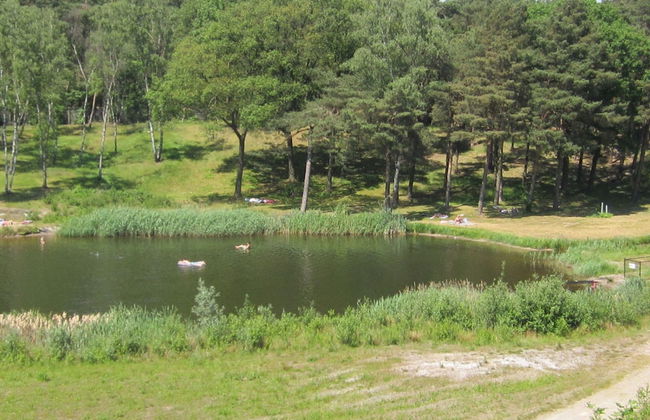 Wooden Holiday Home with Microwave near Brunssummerheide - Foto 28