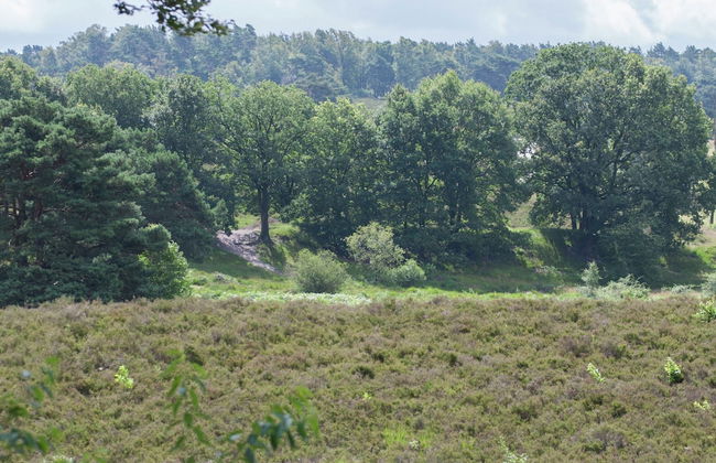 Wooden Holiday Home with Microwave near Brunssummerheide - Foto 26