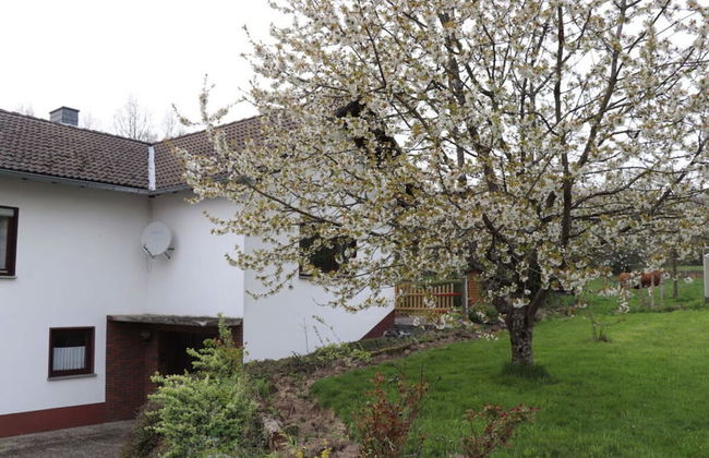 Holiday Home Am Beulskopf - Photo 21