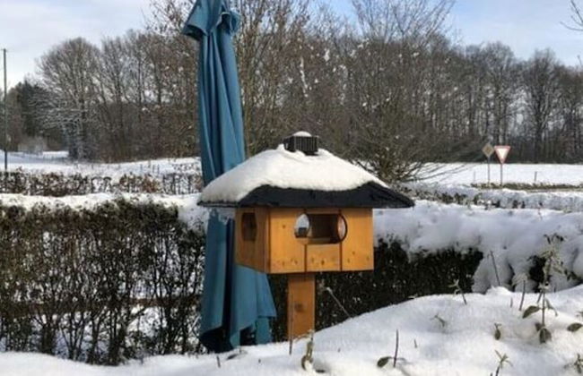 Holiday Home Am Beulskopf - Photo 25