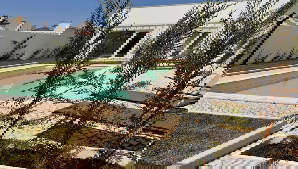 Image principale