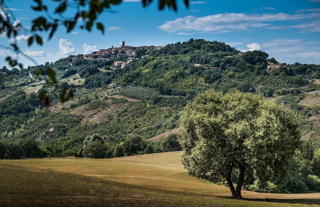 Tuscan Sun With Shared Pool - Foto 21