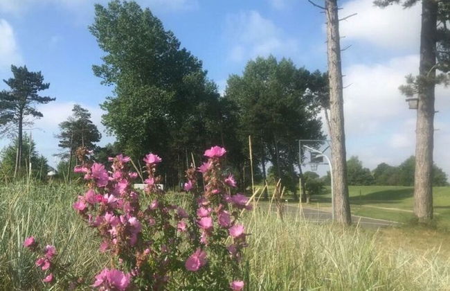 My Holiday Home Comfortable Holiday Residence - Foto 20