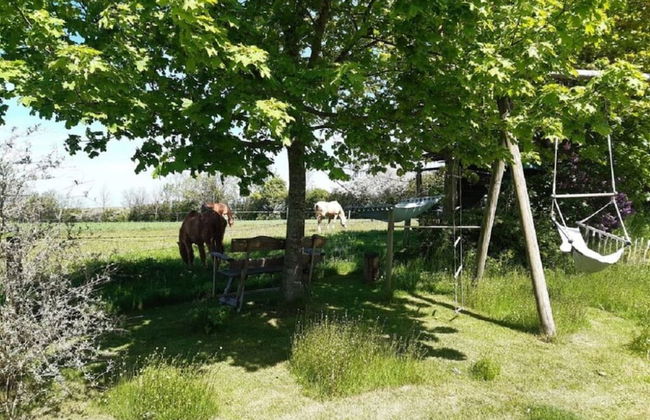Dorpsbeauty aan de Oostzee - Foto 17