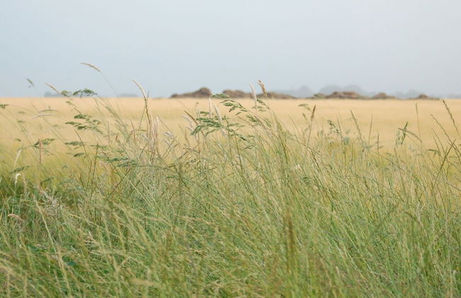 Holiday Home on Texel With Spacious Garden - Foto 37