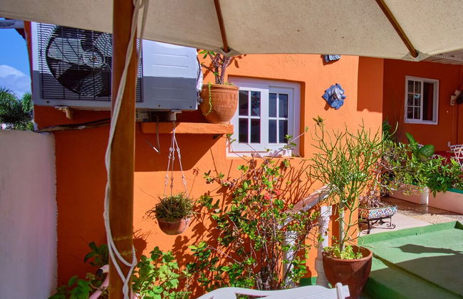 Extraordinary Vacations in Varadero - Foto 64