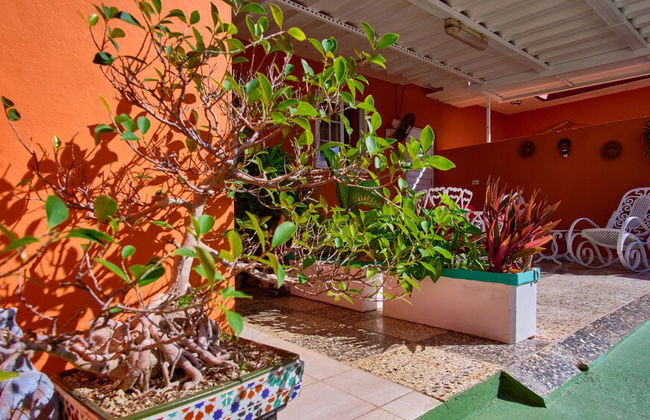 Extraordinary Vacations in Varadero - Foto 55