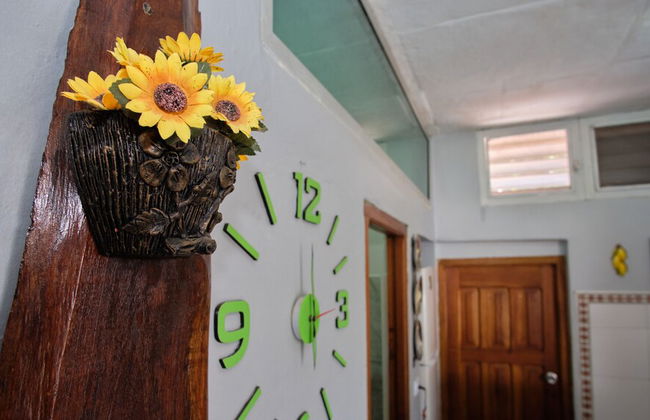 Extraordinary Vacations in Varadero - Foto 27