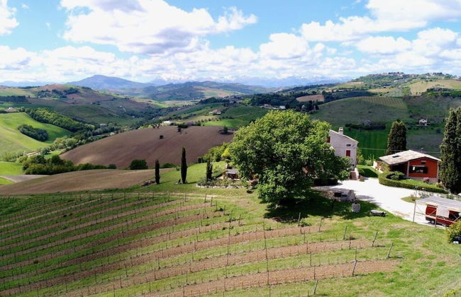Cypressa Modern Retreat - Foto 22