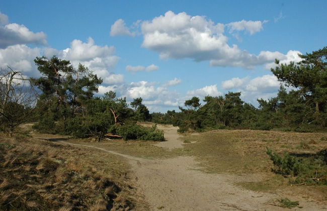 Bamboo Holiday Home in Veluwe - Foto 35