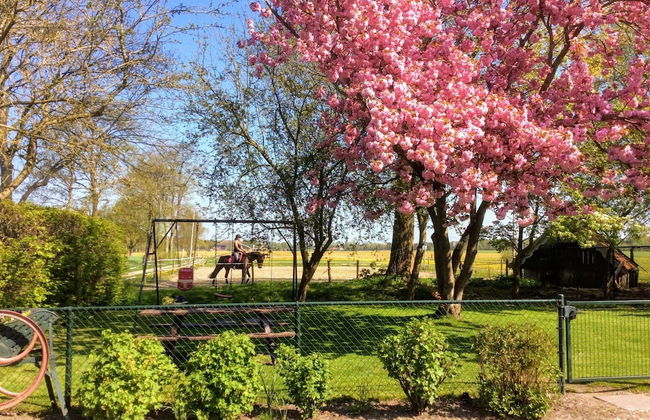 Holiday Home in Donkerbroek Near Forest Trails - Foto 34