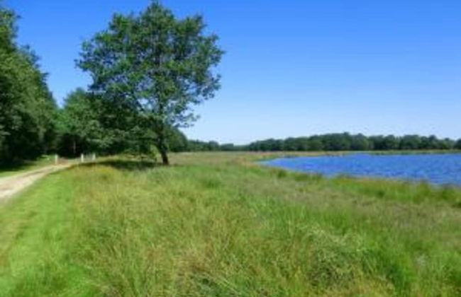 Chalet in Friesland Near Large Lakes - Foto 39