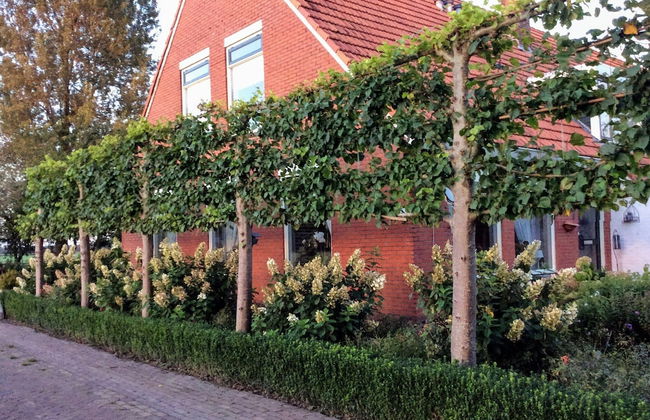 Holiday Home in Donkerbroek Near Forest Trails - Foto 30