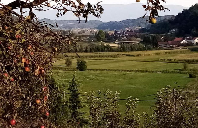 Holiday Home Tuheljske With Mountain View - Foto 24