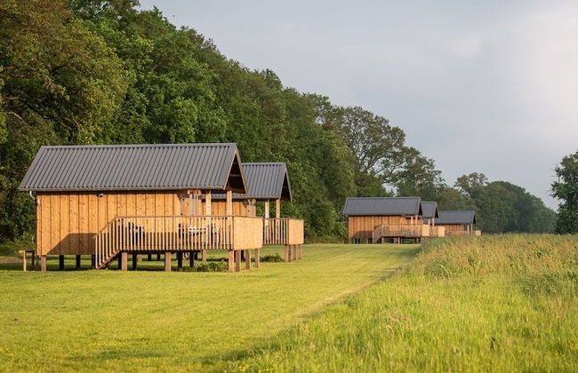 Lodge in Drenthe With Scenic Veranda - Foto 17
