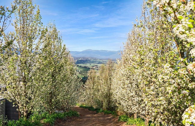 Skyline Views Yarra Valley s Elevated Escape - Foto 28