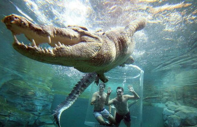 Zen Mitchell Rooftop Outdoor Dining Oceanview - Foto 13