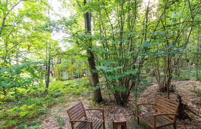 Belvilla Serene Woodland Escape - Foto 21