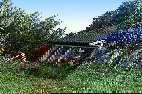 Foto 12 - 4 Person Holiday Home in Veberod-by Traum