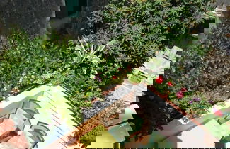 Photo 1 - Jare - in old Town - R1 Zelena
