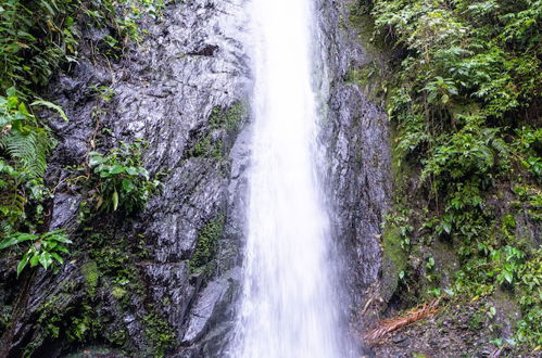 Photo 40 - Casa de campo Los Yungas