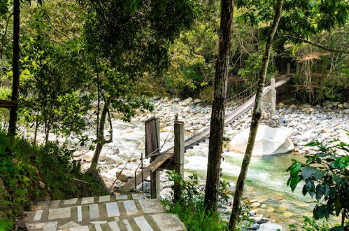 Photo 43 - Casa de campo Los Yungas