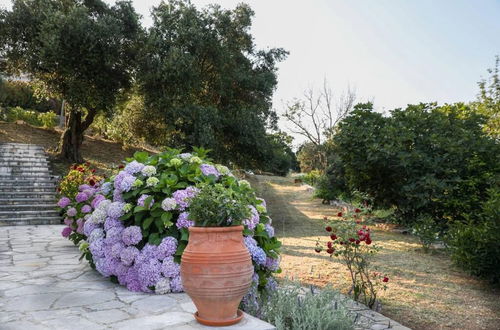 Photo 31 - Sinies Stone Cottage - NE Corfu