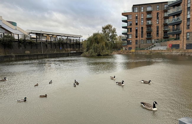 Luxury Apartment in Dartford - Photo 1