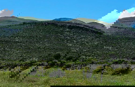 Amberdale Estate Self Catering - Photo 1