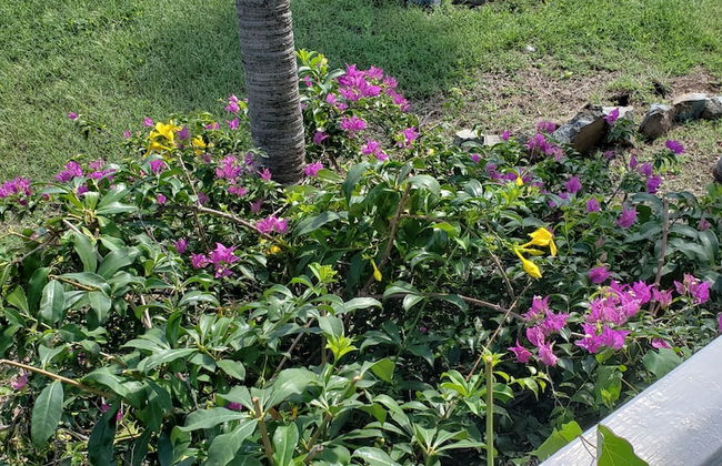 Harbour Island Residences - Foto 10