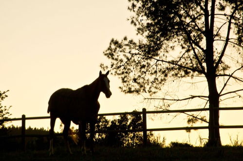 Photo 30 - Country House at Kay & Monty