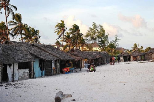 Photo 10 - Villa Tuffah 3 Minutes Walk to the Beach - Malindi