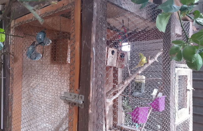 Assaf's Cabin - Foto 17