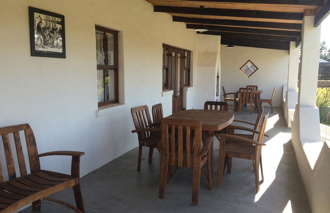 Endless Vineyards at Wildekrans Wine Estate - Foto 15